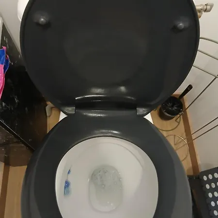 Mobil-home Avec Terasse Ombragee *