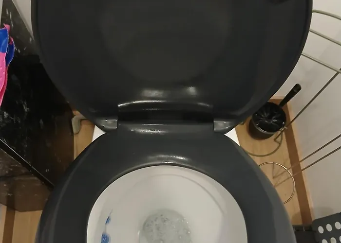 Mobil-home Avec Terasse Ombragee *